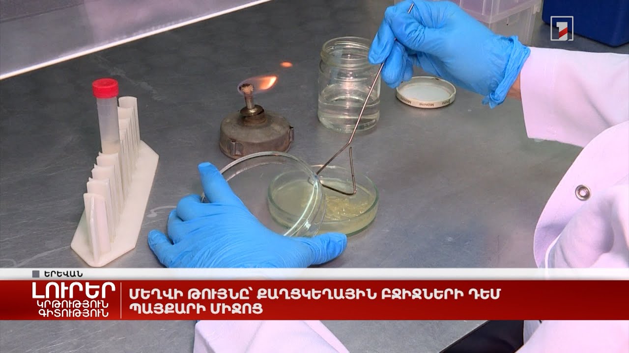 Ընտրությունները պայքարի, ոչ թե փոփոխության միջոց են