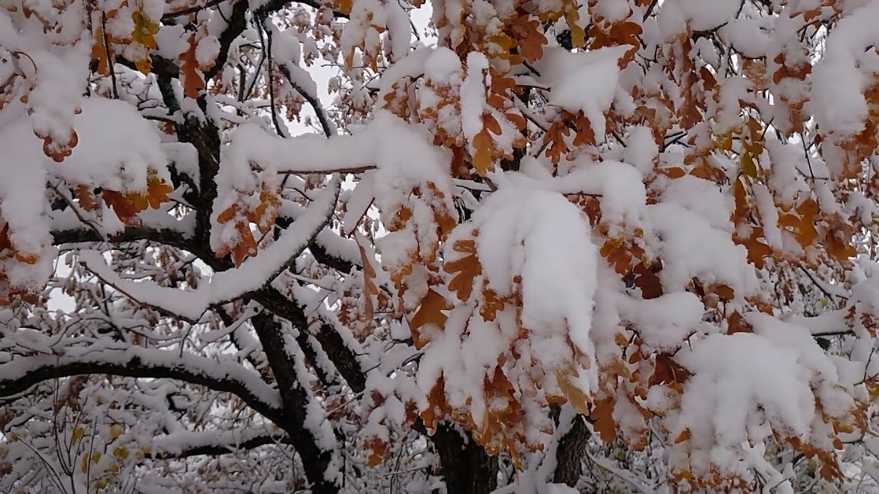 Հանրապետությունում սպասվում է տեղումներ և ջերմաստիճանի փոփոխություն